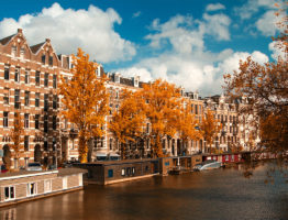 amsterdam-culture-and-history